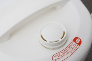 delites-ncg1805-7-org