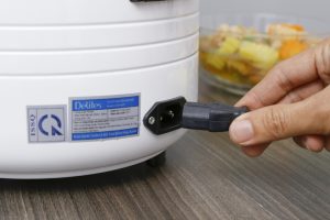 noi-com-dien-delites-ncr1502-9-org