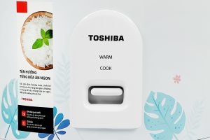noi-com-nap-gai-toshiba-rc-10jh2pv-b-1l-6-org