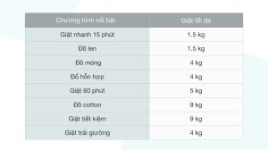 vi-vn-electrolux-ewf9025bqwa-2.jpg