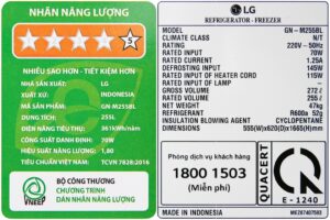 tai_xuong_-_2022-12-21t172009.805_ffd9f9e30b3147c186d8c8f8e3d1eb16.jpg