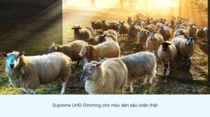 tivi_samsung_2-compressed__19__de9bcab44897425985623f8de5fafe26.jpg