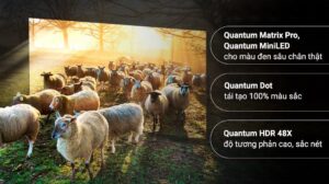 tivi_samsung_2-compressed__29__c0ce289419064fd39ab08d2f9292c45d.jpg