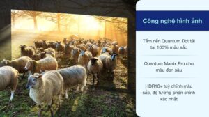 vi-vn-neo-qled-8k-samsung-qa75qn900a-150421-0347590_e5dc2145840649f6ac007028a1469e55.jpeg