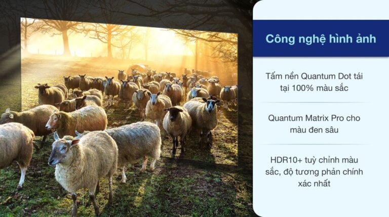vi-vn-neo-qled-8k-samsung-qa75qn900a-150421-0347590_e5dc2145840649f6ac007028a1469e55.jpeg
