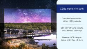 vi-vn-samsung-qa65lst7t-3_b3f5476371e44deaa0a8214ef5b5e7e4.jpg