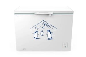 Tủ đông Hisense Inverter 300 Lít FC380D4EWC1