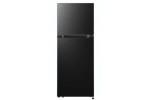 Tủ lạnh LG Inverter 217 lít T21BG